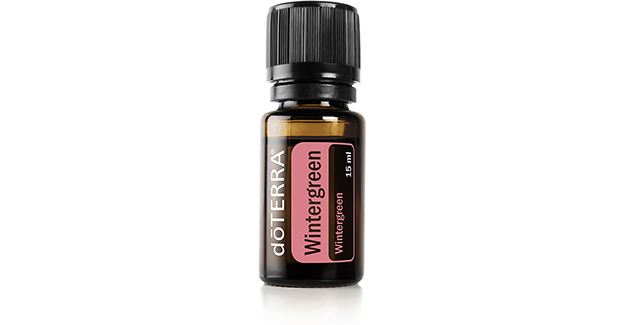 OLEO ESSENCIAL DO TERRA WINTERGREEN 15ml